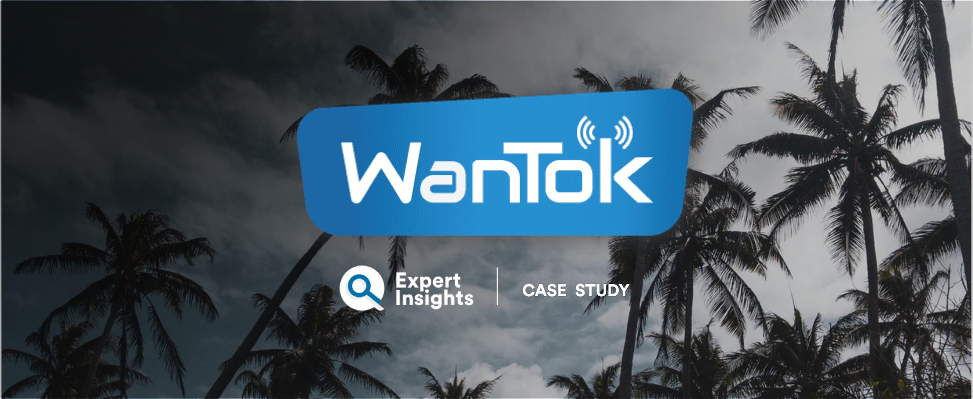 Wantok Expert Insights Case Study