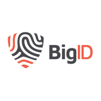 BigID Logo