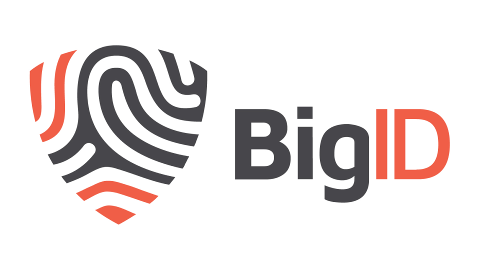 BigID Logo