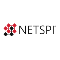 NetSpi Logo